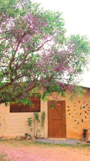 BioChalé Buena Vista - 8