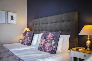 Olive tree private rooms in Stellenbosch- No Load Shedding - 0