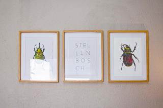 Olive tree private rooms in Stellenbosch- No Load Shedding - 1