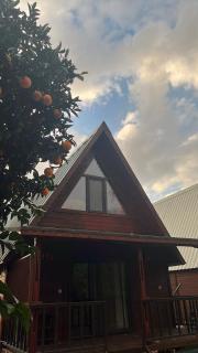 Adrasan Twin Aparts - 5