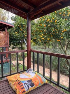 Adrasan Twin Aparts - 2