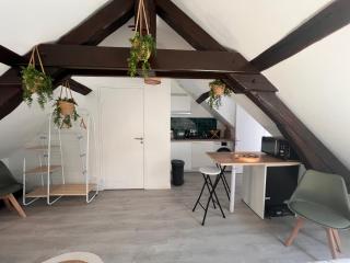 Studio moderne Plein Centre Nemours - 5