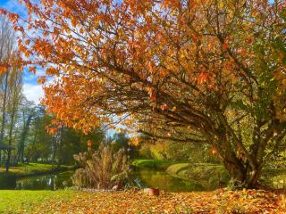 Gîte le Moulin de Warnécourt - 3