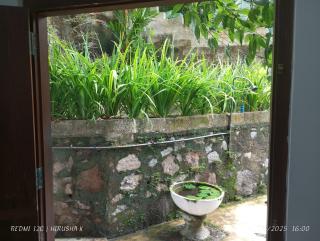 sajini home stay - 9