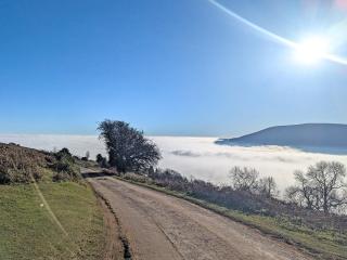 Trinity Cottage - Abergavenny - 9