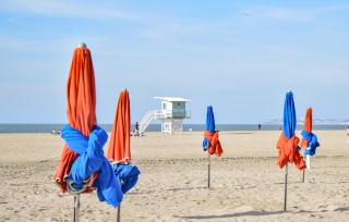 Superbe Bâtisse À Colombage - Reux - 2