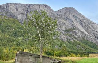 Cozy Home In Elvegard With Sauna - 7