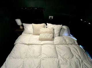 Luxurious Remodeled Airstream with Wraparound Deck and Spa near Honey Grove, Texas - 8