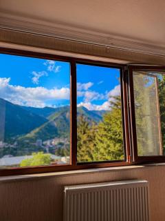 Hidden Forest Cottage - 3