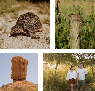 Mountain Peak Game Lodge and Camping - 2