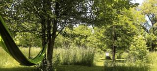 Cute Cozy Suite Rental Nestled on Beautiful Private Grounds for a Peaceful Getaway near Columbus, Ohio - 6