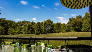 Cute Cozy Suite Rental Nestled on Beautiful Private Grounds for a Peaceful Getaway near Columbus, Ohio - 1