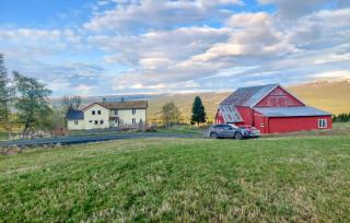 Cozy Home In Oppdal With House A Mountain View - 8