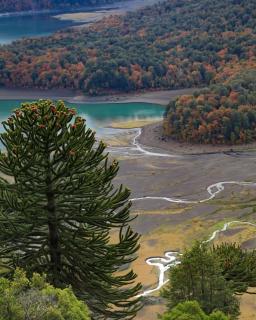 Cabañas Del Monte 2 - 8