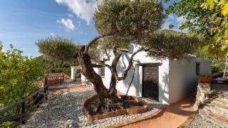 Cortijo Ricardo by Casitas Select - 6