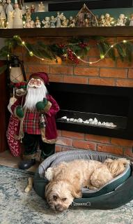 Traper Apartamenty - 0