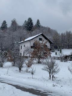 Zelena meraja - Sarajevo - 3