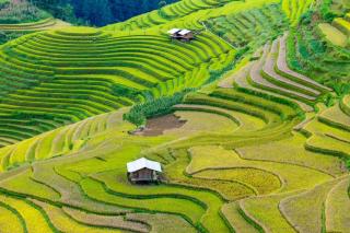 Homestay Chù Chỏ - 6