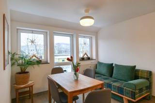 Wunderschöne große Ferienwohnung in Aue - 9