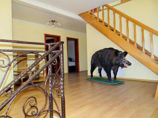 Sunrise Hotel - Adjud - 7