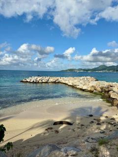 Always Sun ,1 bdr up to 4 guests - Baie Nettle - 8