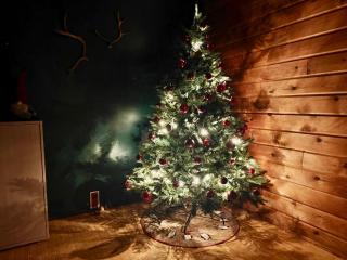 Villa Aurora Ounas - jacuzzi & sauna, next to ski center - 7