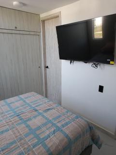 Búho, alameda del río - 3