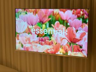 Young Stay near Hae Hwa Station - 3