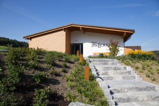 Hotel Zur-Borke - 7