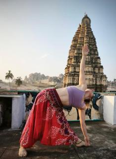 TEMPLE VIEW GUEST HOUSE - 4