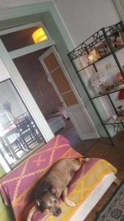 Refugio Martinez - 5