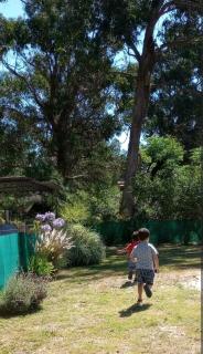 comodo y luminoso monoambiente - 7