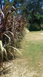 comodo y luminoso monoambiente - 2