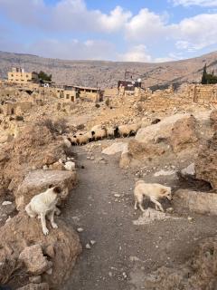 Dana horizon hotel - 4