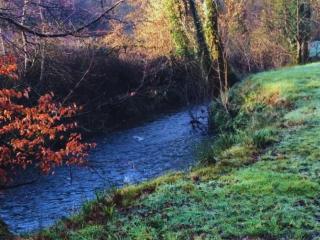 Arcadia Shepherds Hut - 8