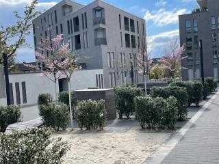 King Bed - Full Kitchen - Balcony - 9