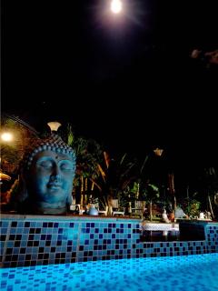 Villa with pool, jacuzzi, Turkish bath, BBQ, kiosk, and green area - 1