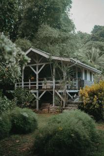 Citrus Creek Plantation - 8