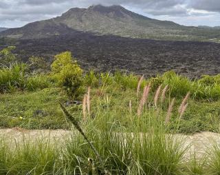 Serenity Batur Villa Kintamani - 1