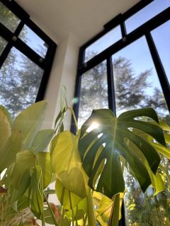 Villa Le Chant du Tilleul - Le Poët-Laval - 6