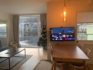 2 bedroom, lake view, light rail, Bergen - 8