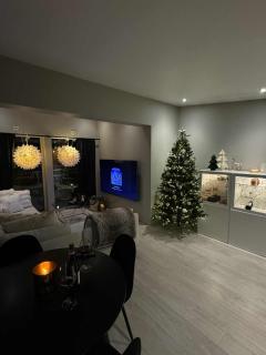 Penthouse apartment 2 bedrooms 70 m2 - 1