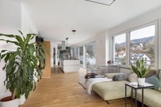 Willkommen in Ihrem Luxus-Penthouse - 4