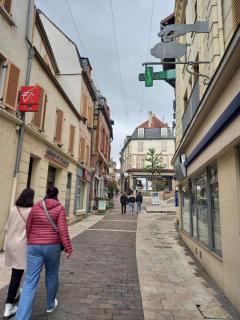 Cosy confortable 4 pers - centre de Joigny - Cosy 4 - 9