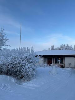 Arctic Villa Birch - 9