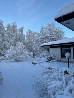 Arctic Villa Birch - 5