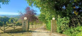 Il Rigogolo - Nature, Pool and Confort near the Center - 6