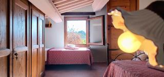 Il Rigogolo - Nature, Pool and Confort near the Center - 5