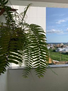 Experiencia única no coração do candeias com lareira, por do Sol - 6