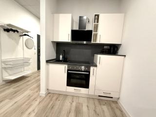 NEU wunderschöne Goldstadt Suite am Schlössle Zentrum Pforzheim - 3